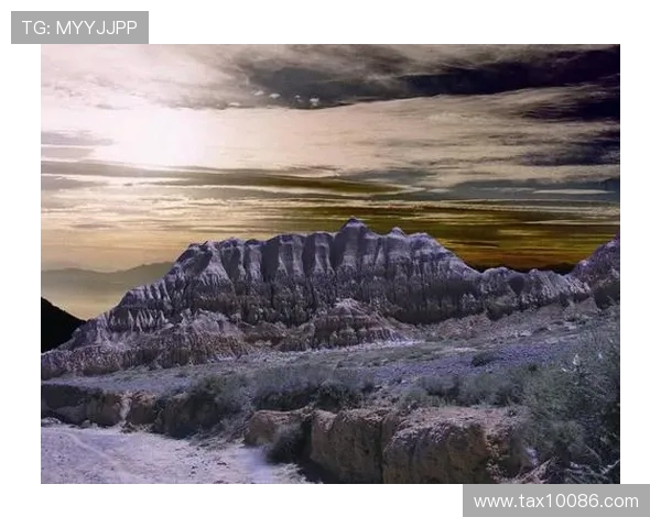 上海攀岩队探索边路渗透新战术提升竞技水平的深度分析 上海攀岩队探索边路渗透新战术提升竞技水平的深度分析