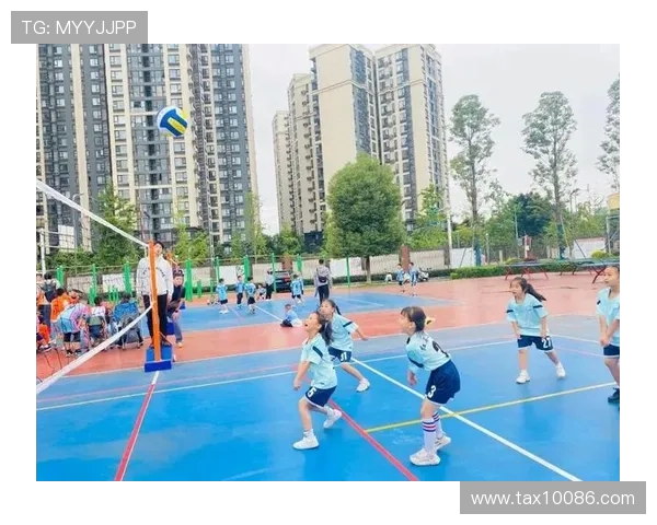 成都乒乓球队默契配合探秘：团队协作如何助力竞技水平提升