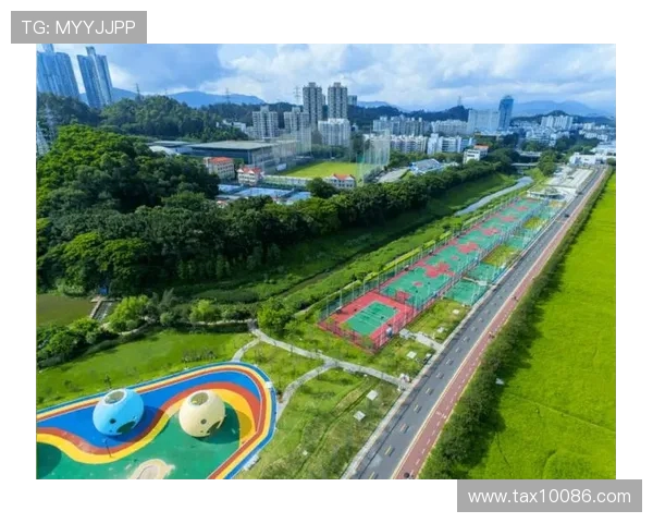 深圳极限运动队灵活性分析与表现评估研究报告